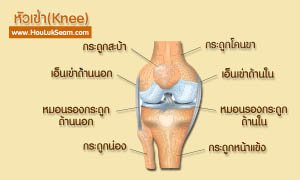 ฮั้วลักเซียมกับโรคปวดเข่า