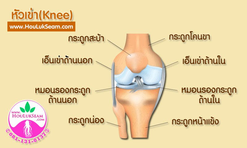 ฮั้วลักเซียมกับอาการปวดเข่า